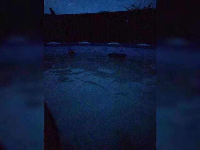 Offline Jenne-Noel on BongaCams