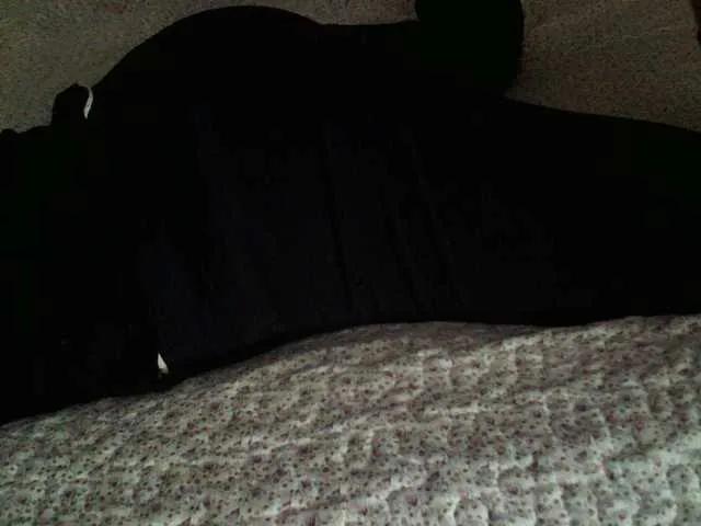 BongaCams liZAAAZ is Freechat liZAAAZ — Figure, manners, manners, smell, voice.