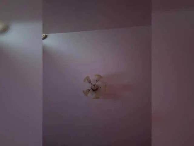 Maria-5 — Freechat on BongaCams