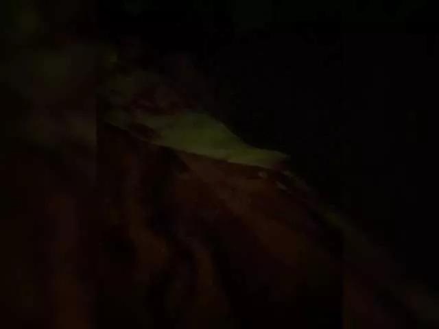 Freechat MokoMila on BongaCams