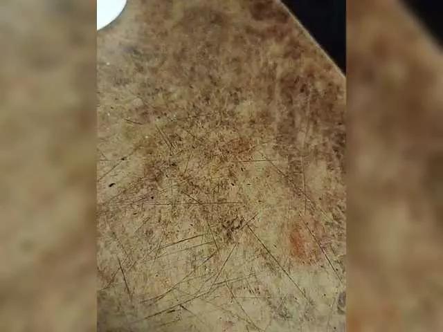 Freechat Oyster-lemon on BongaCams