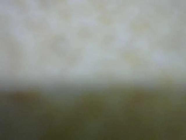 Queenfey — Freechat on BongaCams