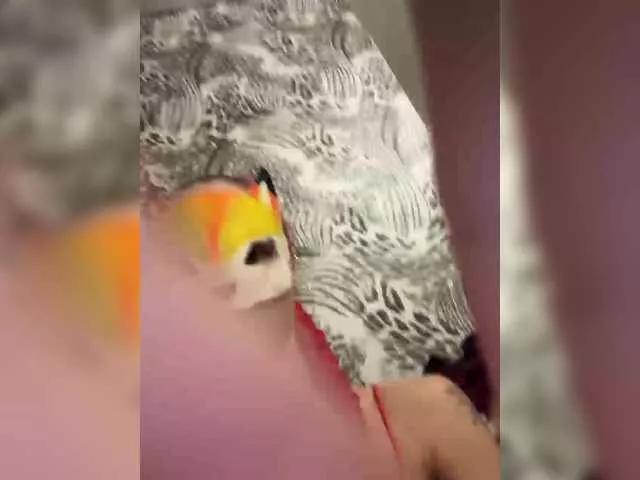 Offline RedHair13 on BongaCams