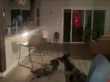 kaileeshy — Freechat on Chaturbate