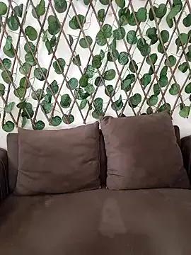 Freechat Bold-Cat on StripChat