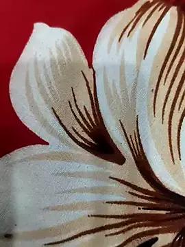 hot_plak — Group on StripChat